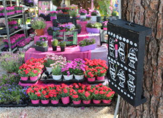 64η Ανθοκομική Έκθεση Κηφισιάς